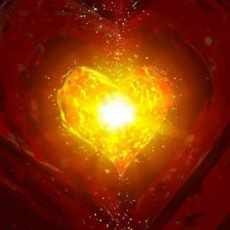 1450969_1501652363439324_4442844430061928150_n