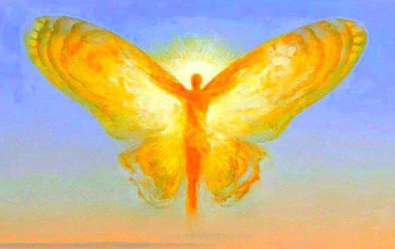 1536444_603590466414114_1691415717806448204_n