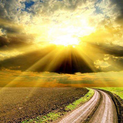 15465_728996647171142_78348382913895624_n