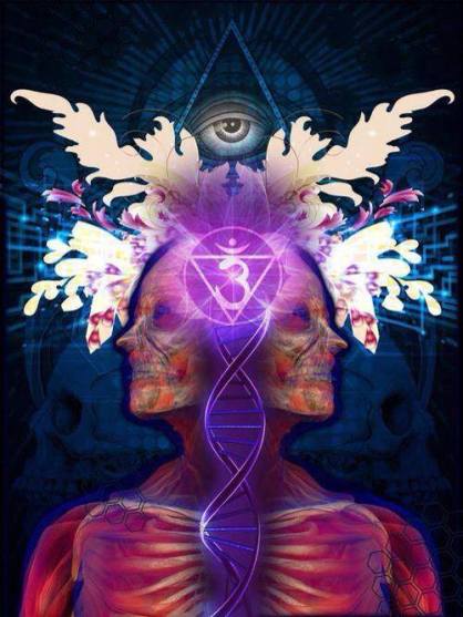 1555475_401197676696727_8311881116598755024_n