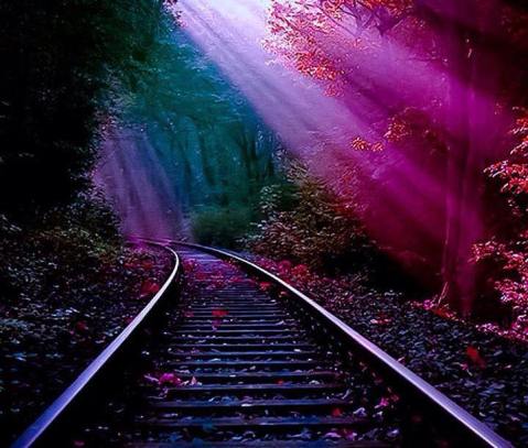 1622777_896756873690306_2565650125492596025_n