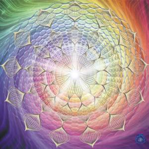 1901364_721639997889045_2379638089004938584_n