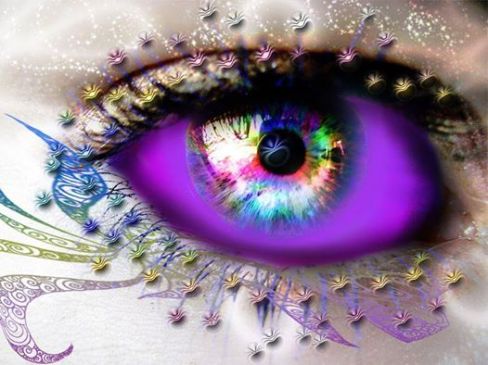 1911611_297237627133783_7064239503136260116_n