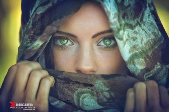 1958433_253592928153349_94281838_n