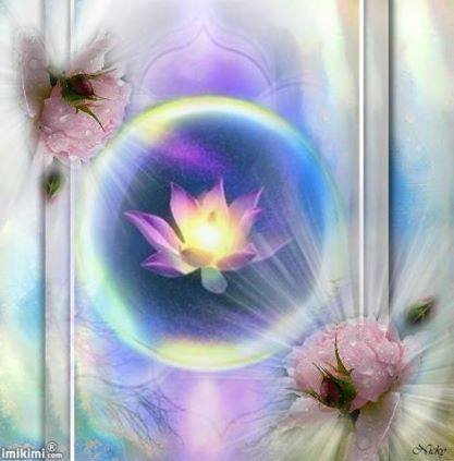 1972546_317514625087778_2054699233389596112_n