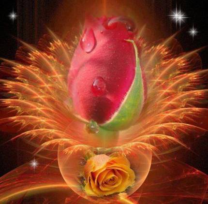 1000376_394127617359763_738751394_n