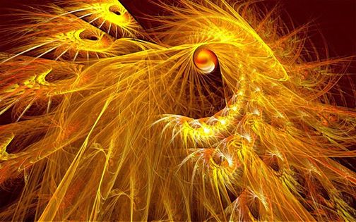 1002665_494060500698919_1998690126_n