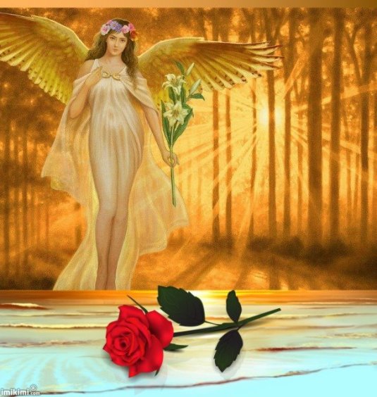 1011059_446581532111842_561408533_n