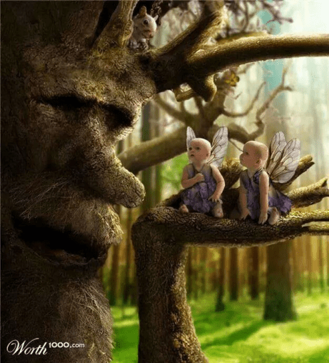 10270540_1442168939370284_2285633660053172068_n