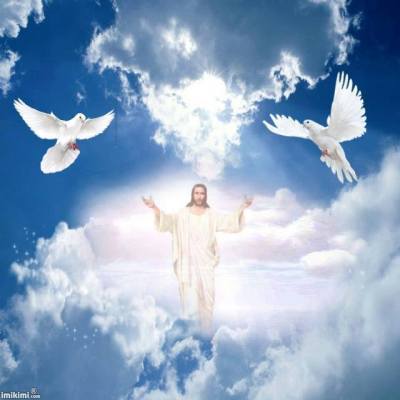 10352905_715557165208579_5814657324991181172_n