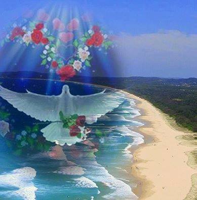 10409444_771990056213116_8769533074567578222_n