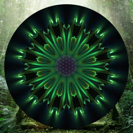 10428425_575432415826560_574558532069510237_n