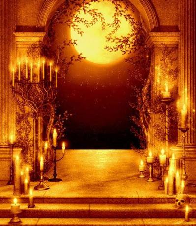 10430846_10153580800140200_1458566874188550219_n