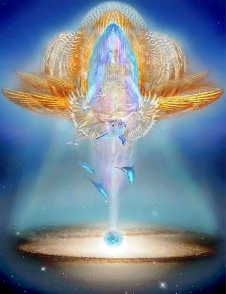 10438216-695515443889733-2234206194188990205-n