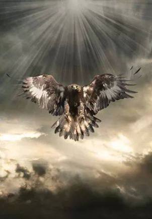 10502057_10205177770104969_8269670359019181275_n