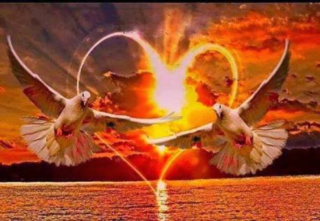 10610668_1413111572263621_4110835701763396775_n