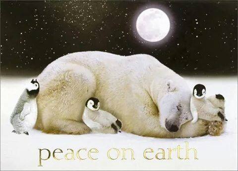 10616442_682243815229774_218628602000075088_n