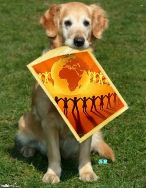 10620748_513310438772284_8847689079507840830_n