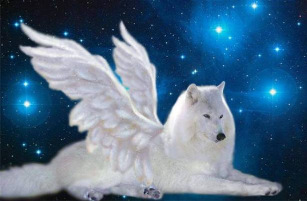 10636145_560236827439970_395080712413002634_n