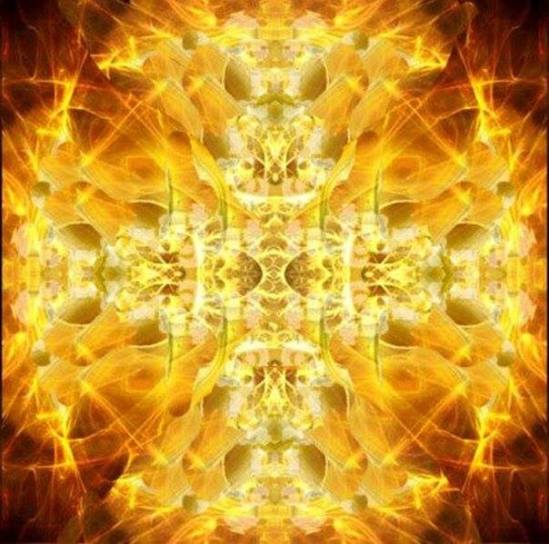 10678787_10152358576535598_5057662780045736023_n