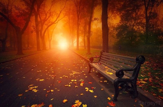 10690102_1007026435981252_4192471083084411651_n