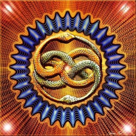 10710782_659952690786684_4085025907784481389_n