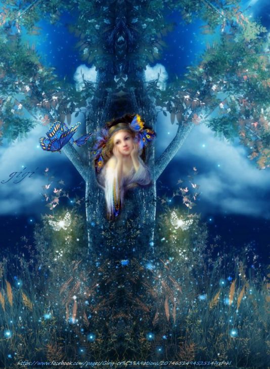 10712431_295858847279820_1753159149518526830_o