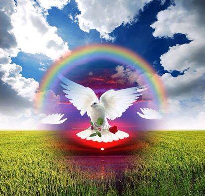 10730842_10153519344510200_6805391346541678987_n