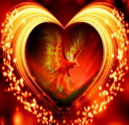 10801963_749765968405871_1481854723790298106_n