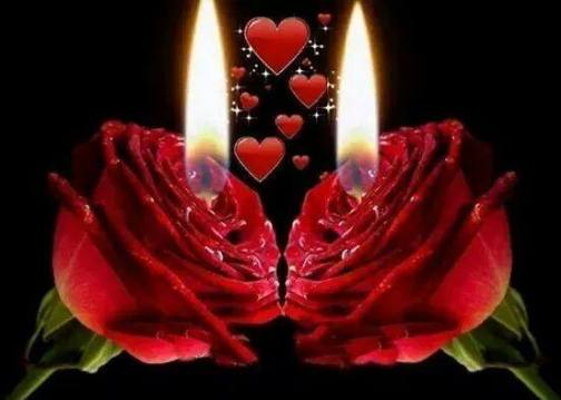 10808373_1510217182561819_1431004831_n