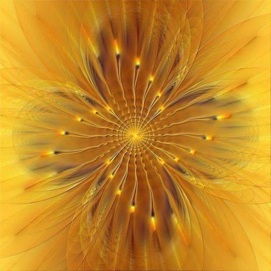 10849966_10152409543101666_2360328268247203519_n