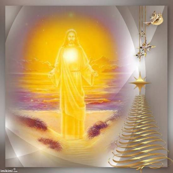 10858358_556584627778198_2599932562887314144_n