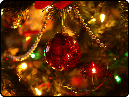 10888472_648008475322238_2541628728062088160_n