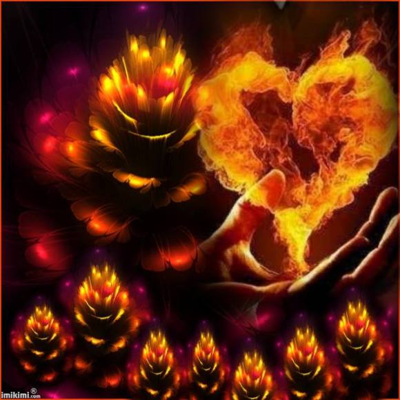 10888782_557420124361315_9143254029849067619_n