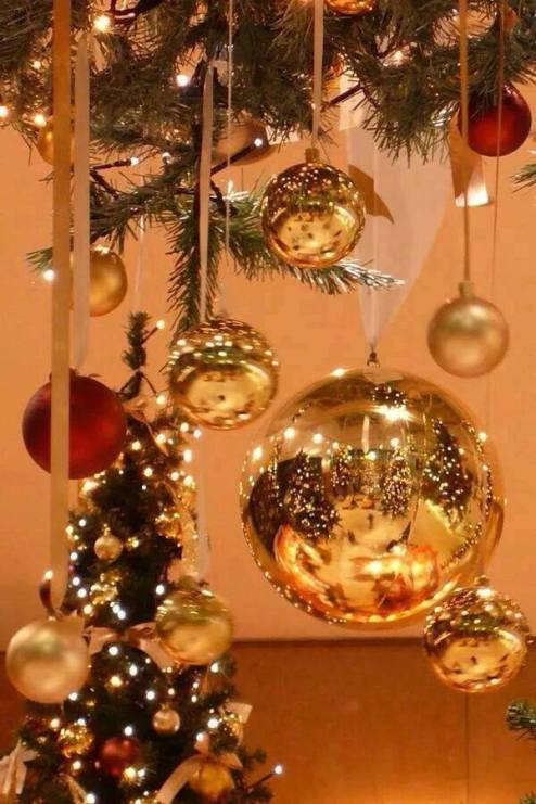 10891597_648008358655583_1347845678721572428_n