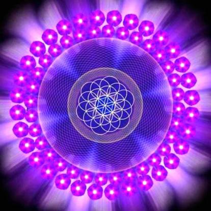 1426387_501200036646010_942816429_n