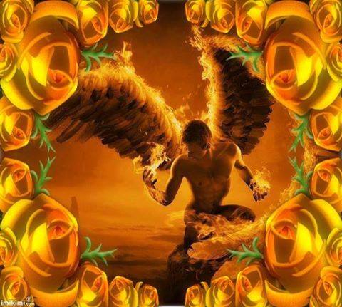 1466123_10202071476668285_8406698177083866721_n