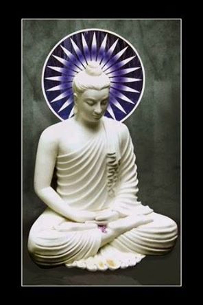 1506068_572374302841966_600512840_n