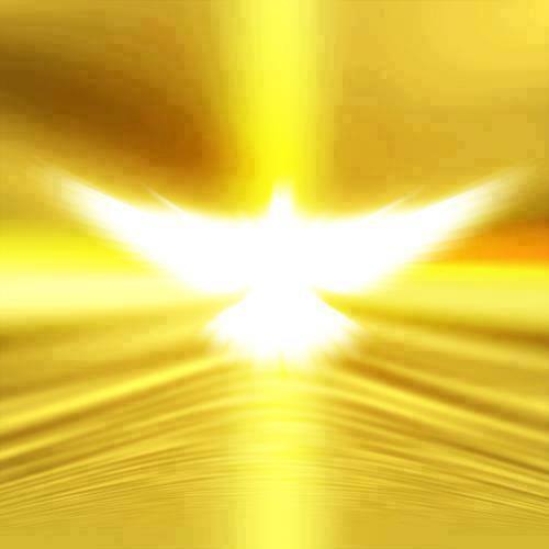 1507102_765192020219398_2377257009151403264_n