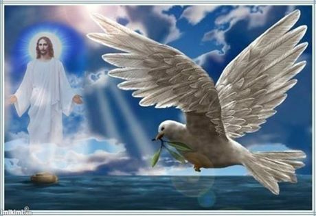 1546193_513062795463715_8551229775809731297_n