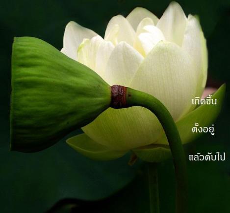 155914_337604109694114_1819284937_n