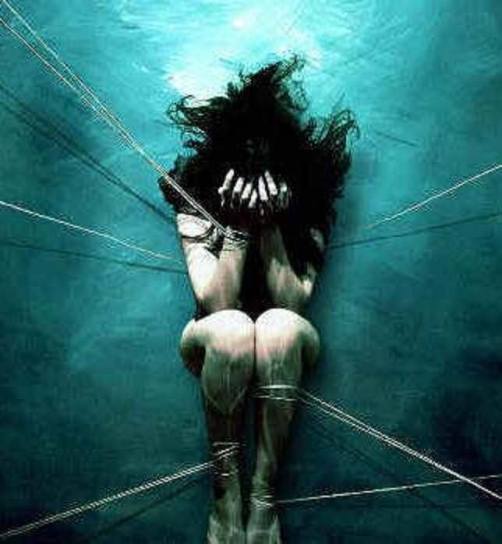 1920597_240113946176310_634963291_n