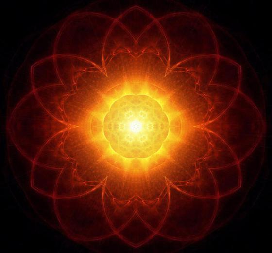 393252_243373002452877_495368444_n