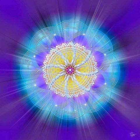 541595_681976141923208_7560253739956706275_n