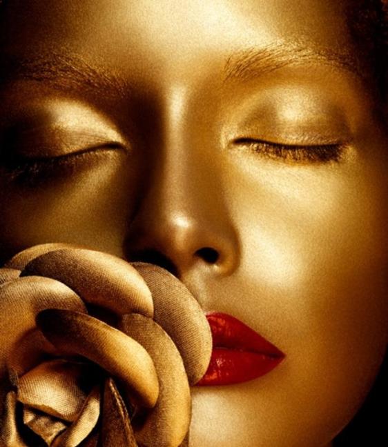 541766_447030558717830_864473777_n