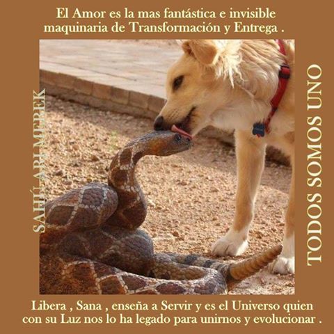 558579_1425851514296239_1226045662_n