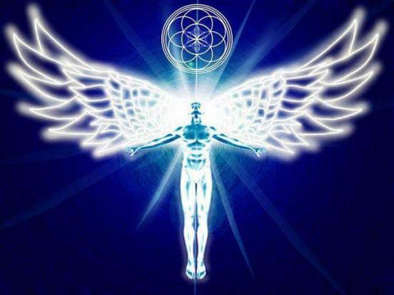 1006212_556189824445230_221757052_n