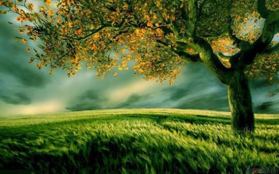 10301501_726077584104953_7391034711556269634_n