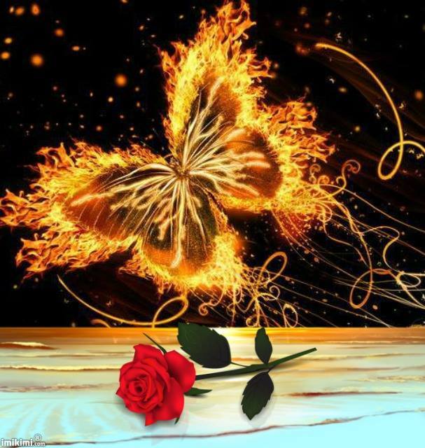 10427312_562863200483674_6865466106686341801_n (1)