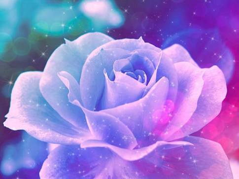 10487320_735745769842179_4245410921028206606_n